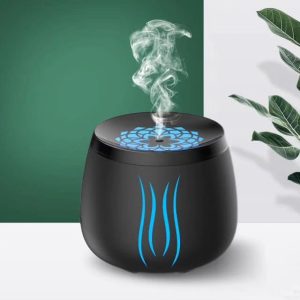 600ml ultrasonic electric